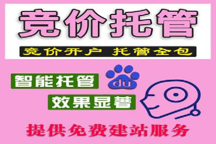 百度推广排名大揭秘：某电商平台的成功之路